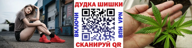 Где купить Новосиль COCAIN  А ПВП  Псилоцибиновые грибы  МЕТАМФЕТАМИН  Каннабис  МЕФ  ГАШИШ 