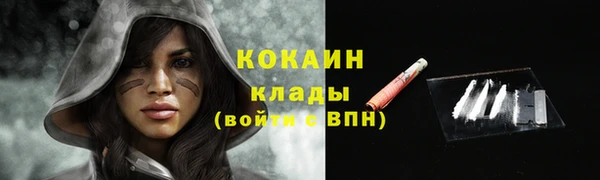 сатива Абаза