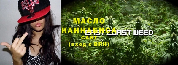сатива Абаза
