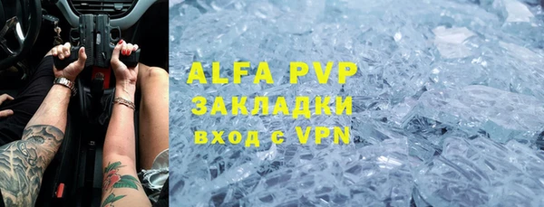 сатива Абаза