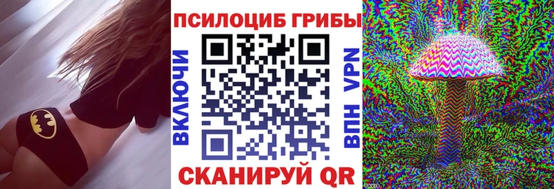 купить наркотики сайты  Новосиль  Галлюциногенные грибы мухоморы 